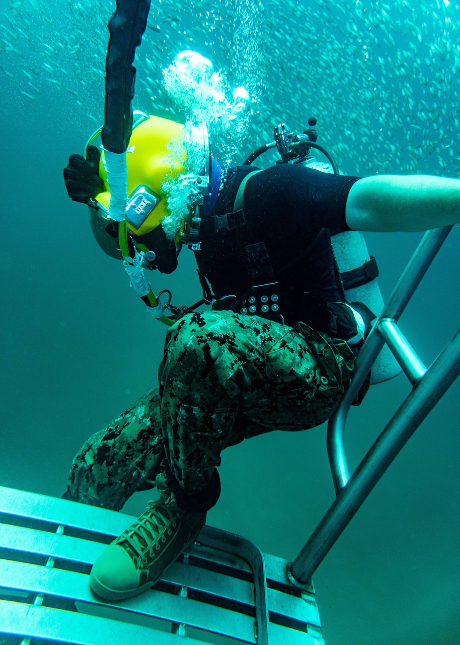 A sailor in dive gear underwater.