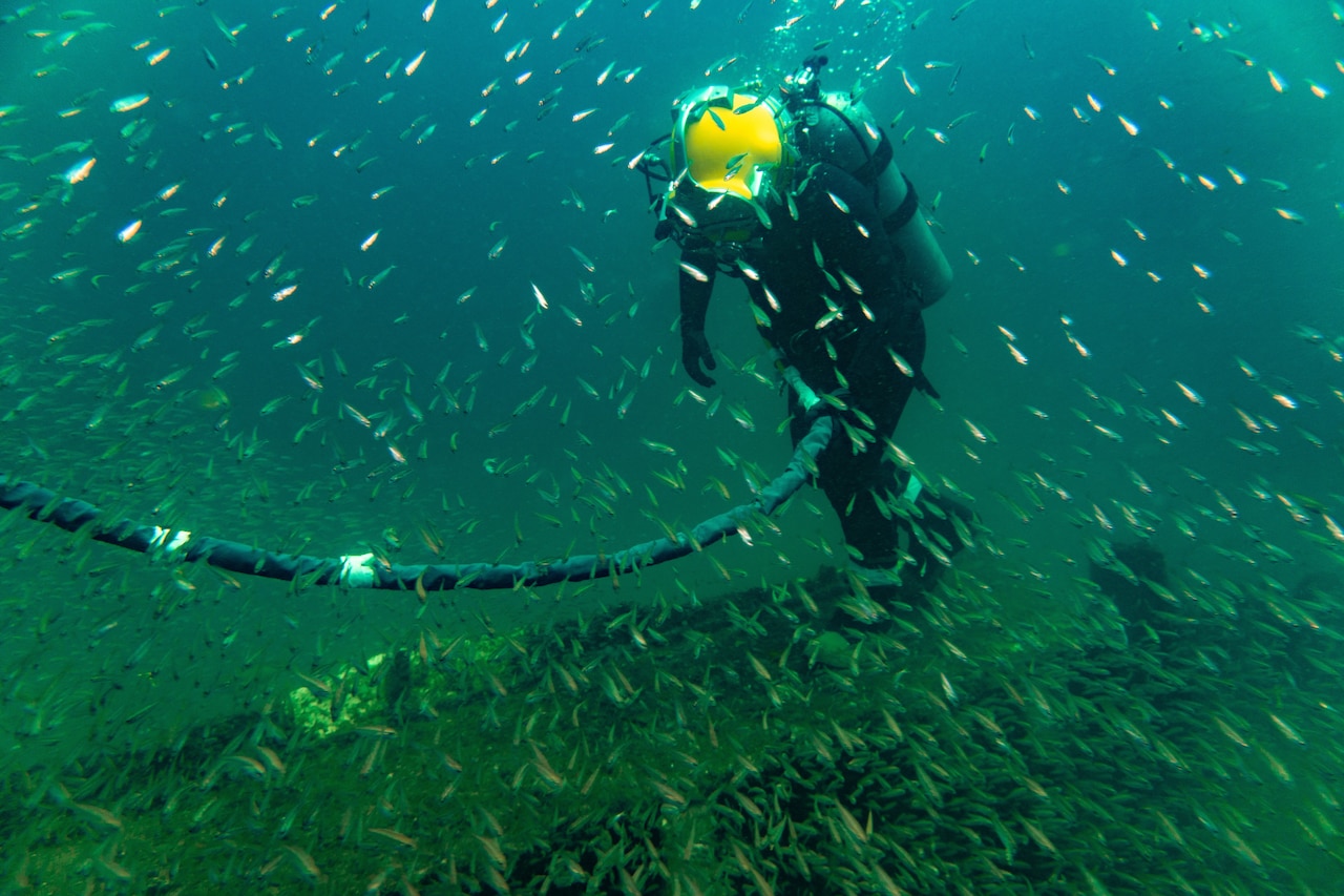 Fish swim in front of a sailor in dive gear underwater.