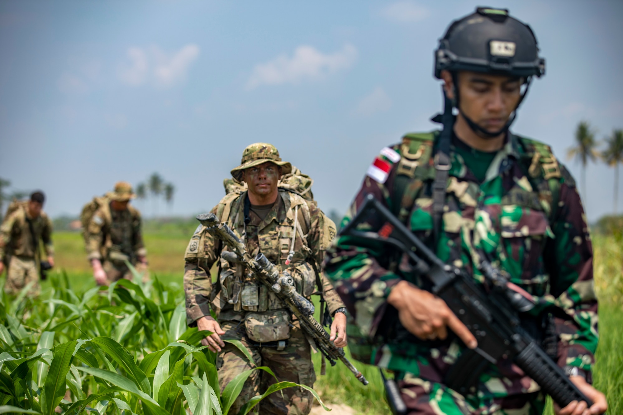Soldiers walk through a field.