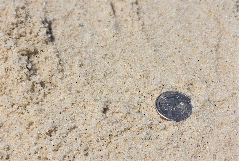 USACE researchers and their partners are engaging citizen scientists in a national SandSnap initiative to amass nationwide beach grain size database by taking photos of any size U.S. coin on the beach.
