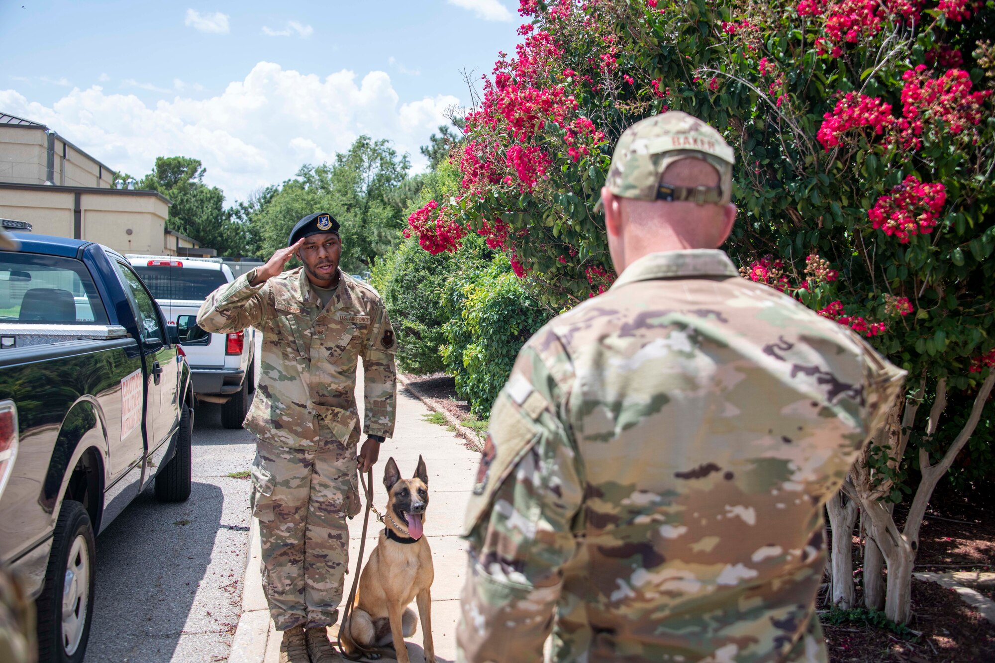 U.S. Air Force Staff Sgt. DeAndre Turner, 97th Security Forces Squadron Military Working Dog (MWD) handler, salutes Col. Blaine Baker, 97th Air Mobility Wing commander to begin his MWD team certification at Altus Air Force Base, Oklahoma, July 28, 2021. Each newly paired handler and their dog must undergo a certification to ensure they can properly work as an effective team. (U.S. Air Force photo by Staff Sgt. Cody Dowell)