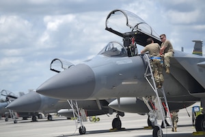 Louisiana Air National Guard, 159th Fighter Wing