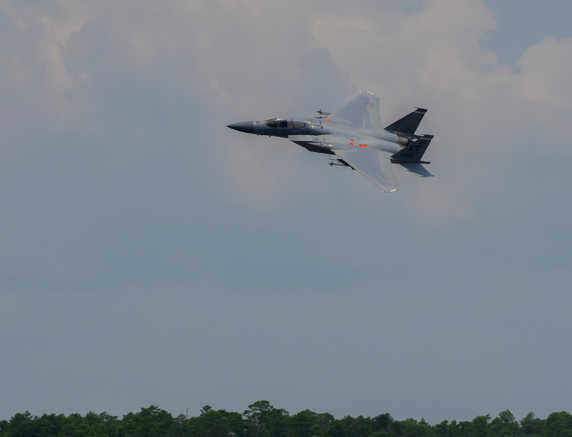Final Flight
