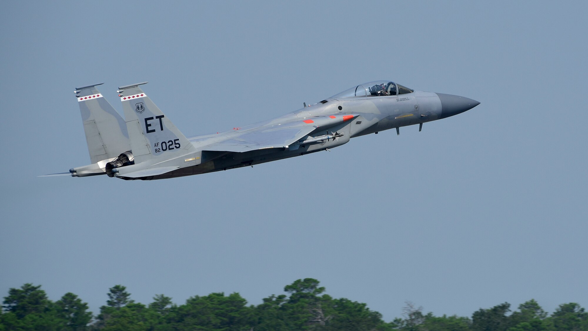 Final Flight
