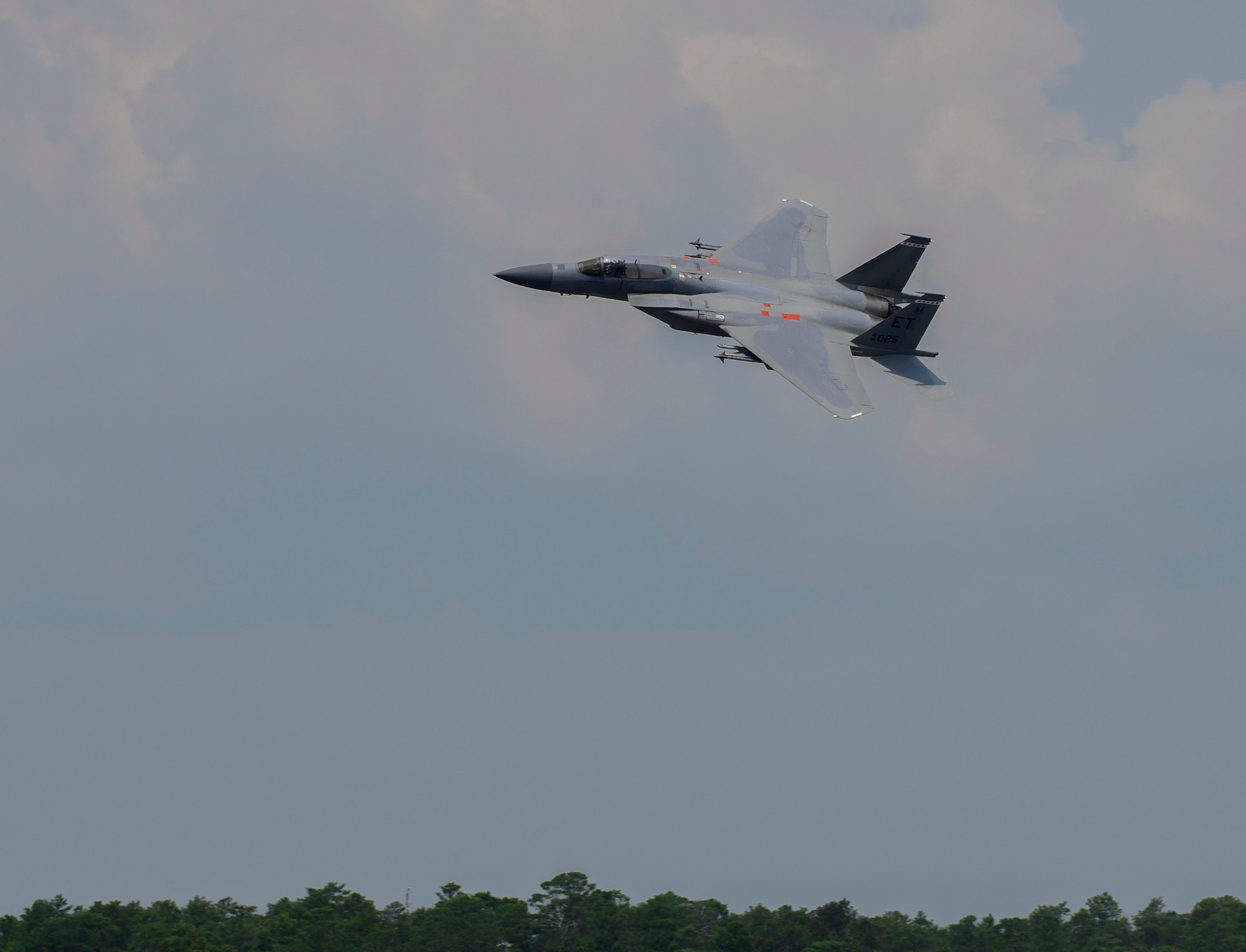 Final Flight