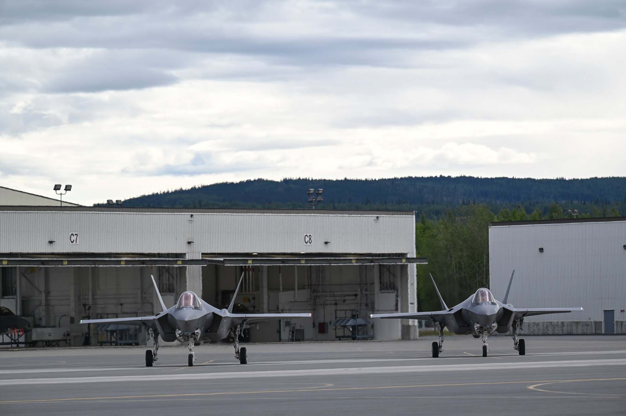 Gorillas Take Alaska