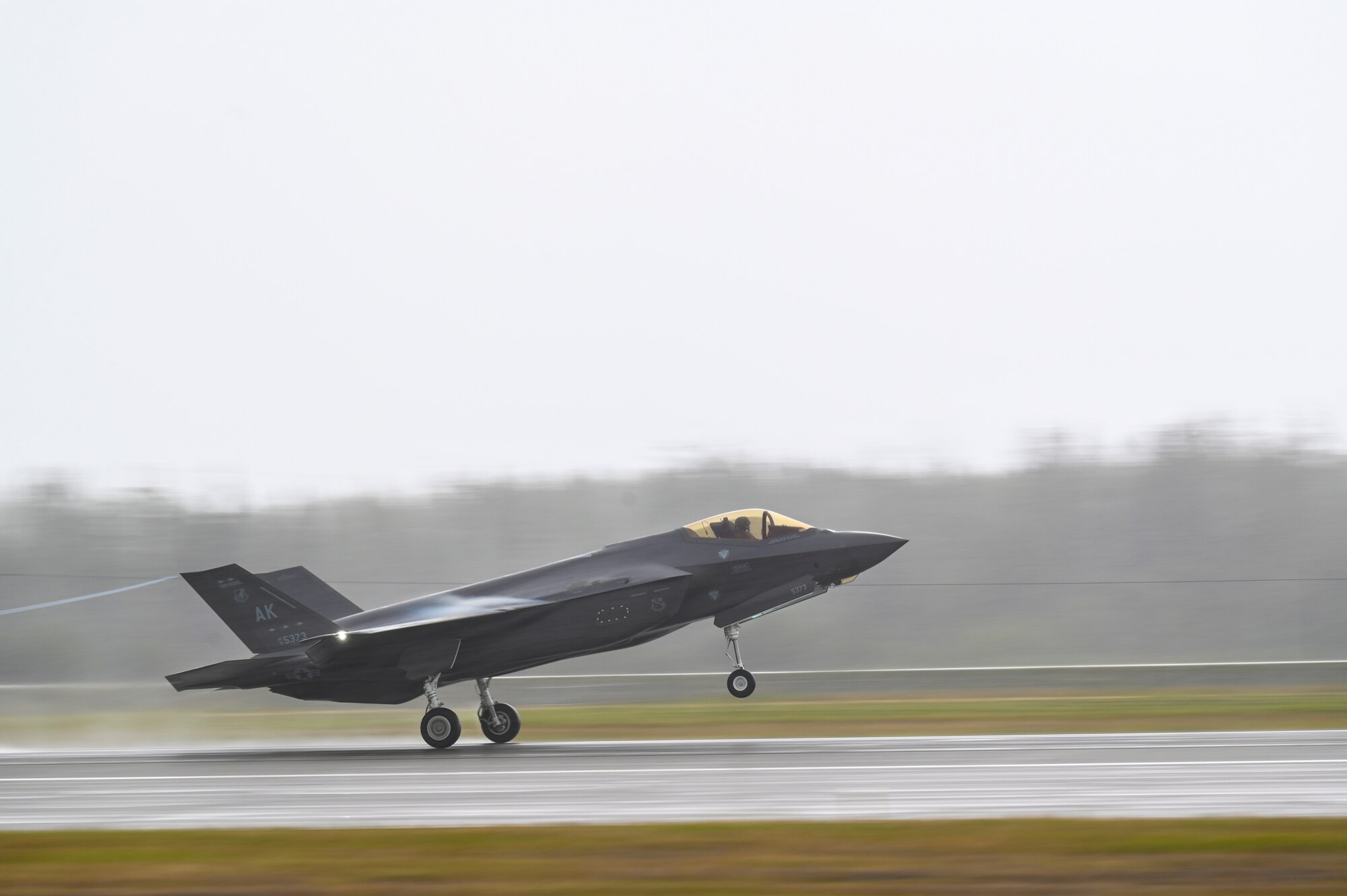 Gorillas Take Alaska