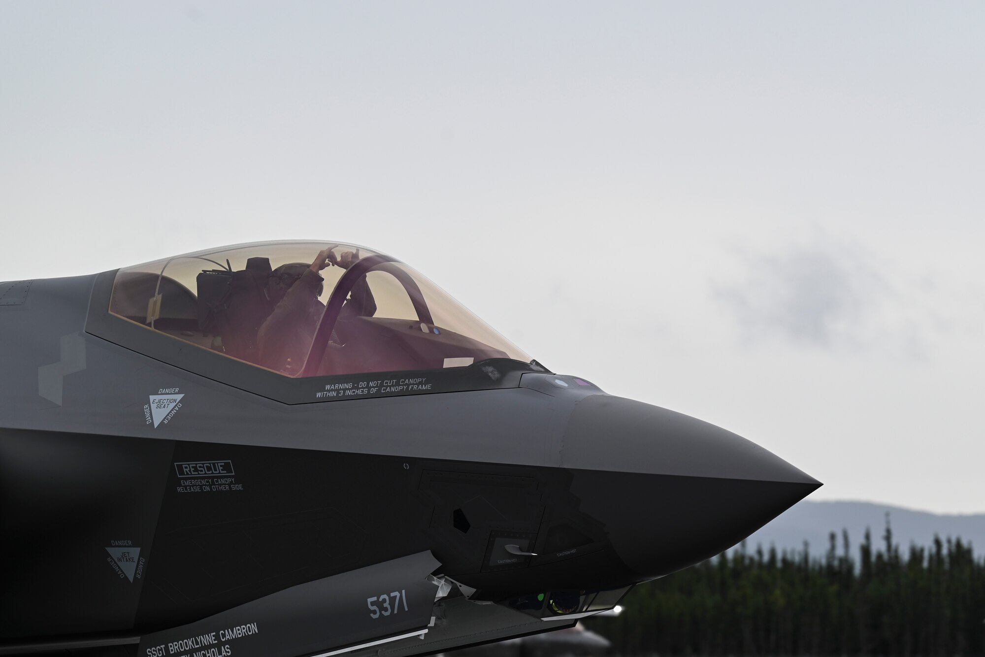 Gorillas Take Alaska