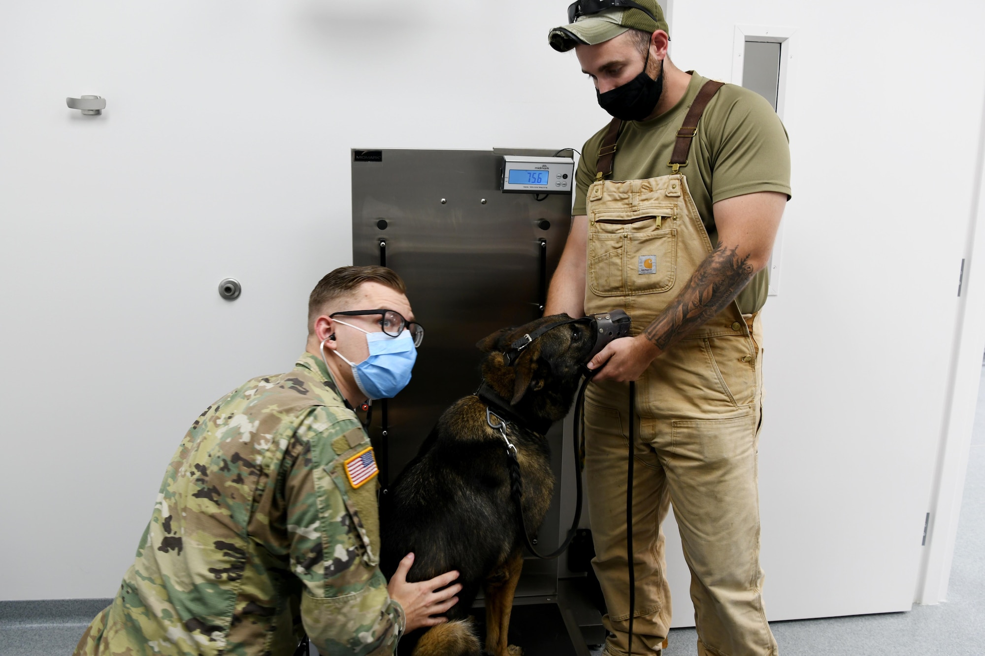 Photo shows male Airmen squatting down to examine a dog while the dog's handler holds the dog's head.