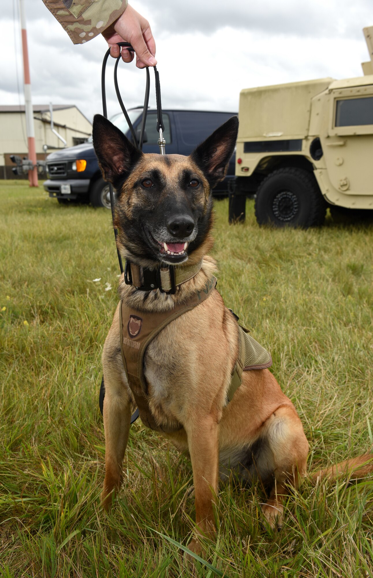 U.S. Air Force Military Working Dog Uta smiles for her photo as she checks out the Diversity and Inclusion Day event at Royal Air Force Mildenhall, England, Aug. 13, 2021. The event included a variety of performances, booths, a fire truck, Humvee and static aircraft. (U.S. Air Force photo by Karen Abeyasekere)