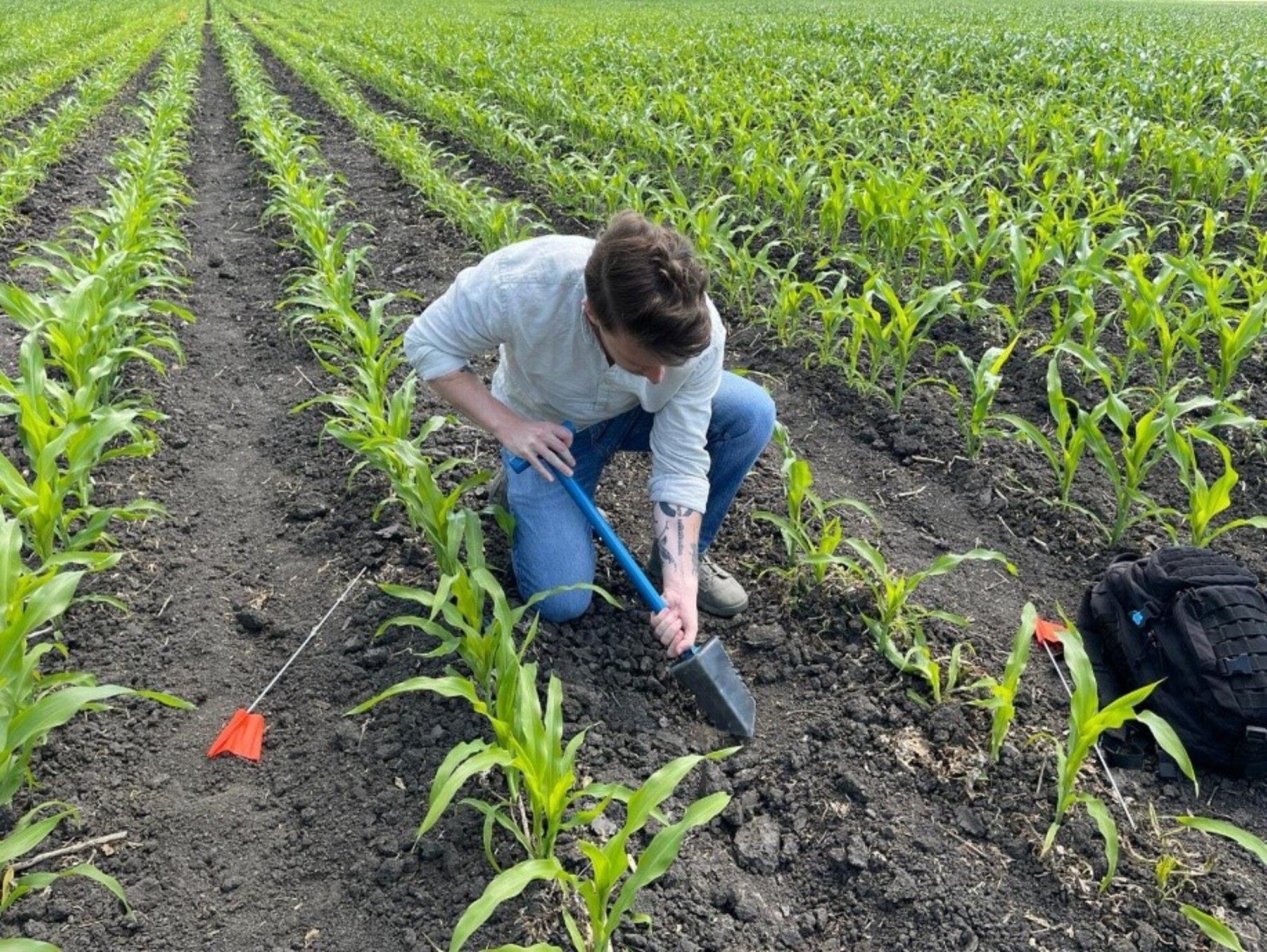 Hungarian LEAP Scholar 1st Lt. Attila Zsigmond searches for evidence during a mission in Hungary for the Defense POW/MIA Accounting Agency.