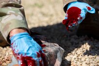 Global Medic, Combat Support Training Exercise