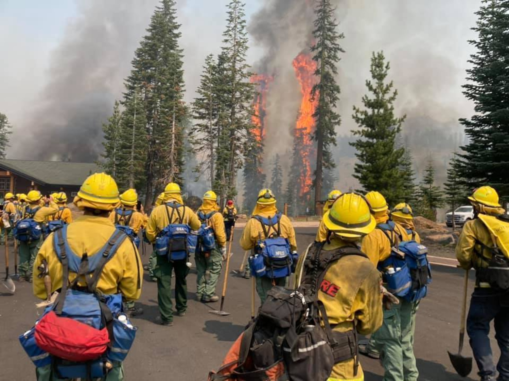 Trees burn within eyesight of a California National Guard hand crew with Joint Task Force 578 during the Dixie Fire, Aug. 16, 2021, in Northern California.  The task force is part of the mutual aid system in support of CAL FIRE.