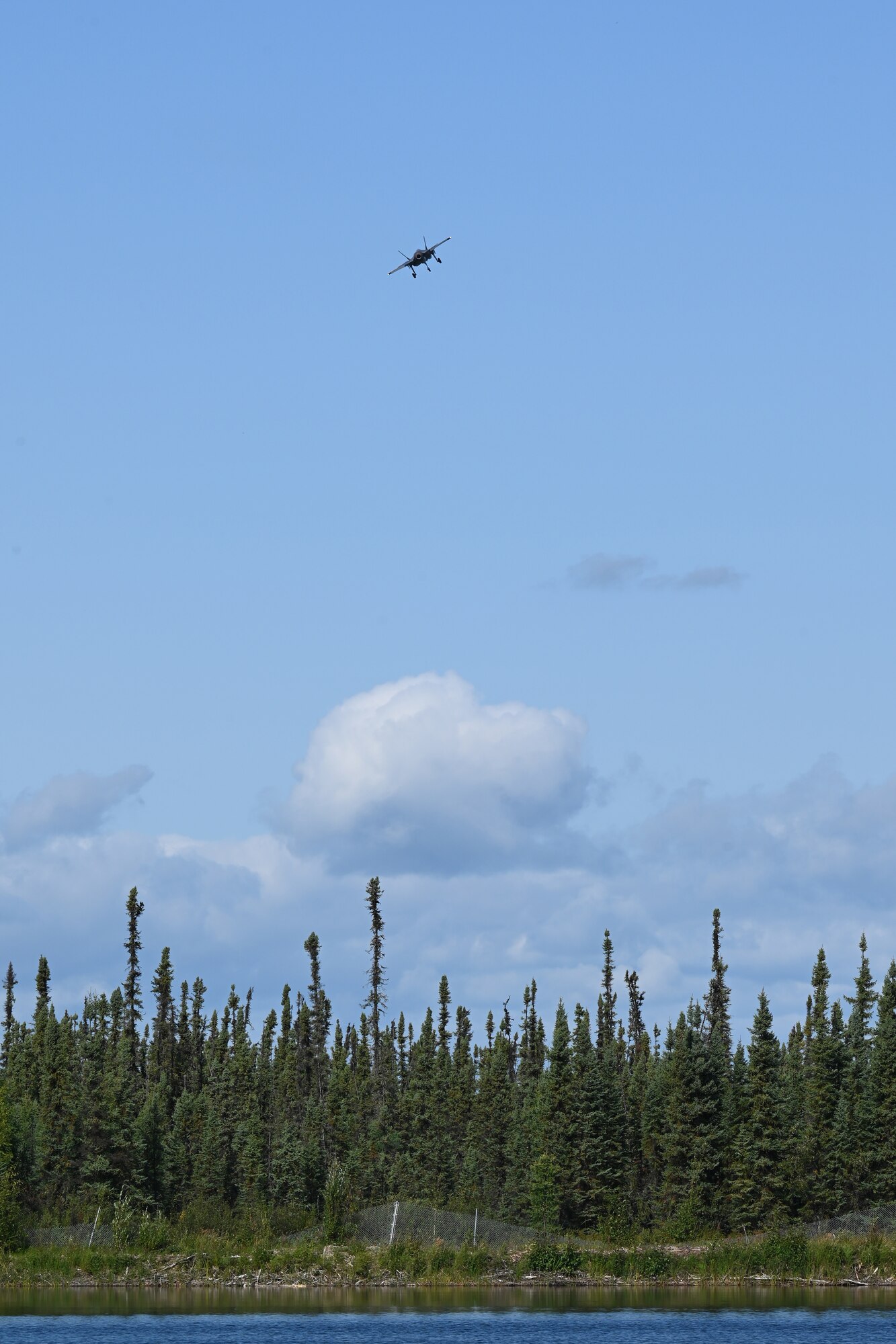 Gorillas find success in Alaska