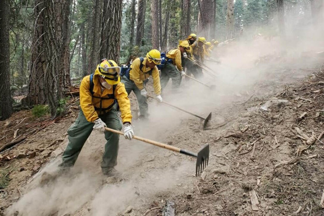 A line of people in firefighting gear use tools to rake burned debris.