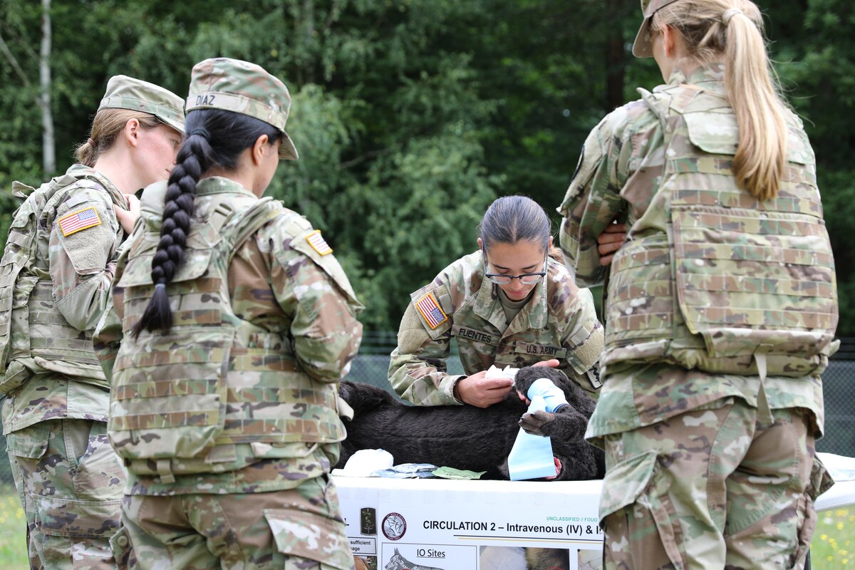 Sgt. Victoria Fuentes, an animal care specialist (68T) with the 64th Medical Detachment VSS, took an active role in the K9 TCCC training event at Rhine Ordnance Barracks on August 19th, helping to "train the trainers" to take care of injured military working dogs. She taught individual skills training classes on topics like massive hemorrhage assessment and bleeding control, and assisted with grading during the practice scenarios. "This training is my favorite because military working dogs are my most favorite part of this job," Fuentes said. "Teaching the medical aspect, how to provide care for them, is more meaningful to me because if these dogs are going out there and deploying, we know that as long as we do the training right, they're going to be taken care of on the battlefield."
