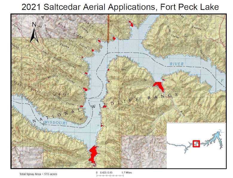 Vegetation control set for invasive species located at Fort Peck Reservoir, Montana