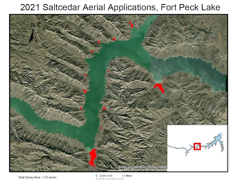 Vegetation control set for invasive species located at Fort Peck Reservoir, Montana