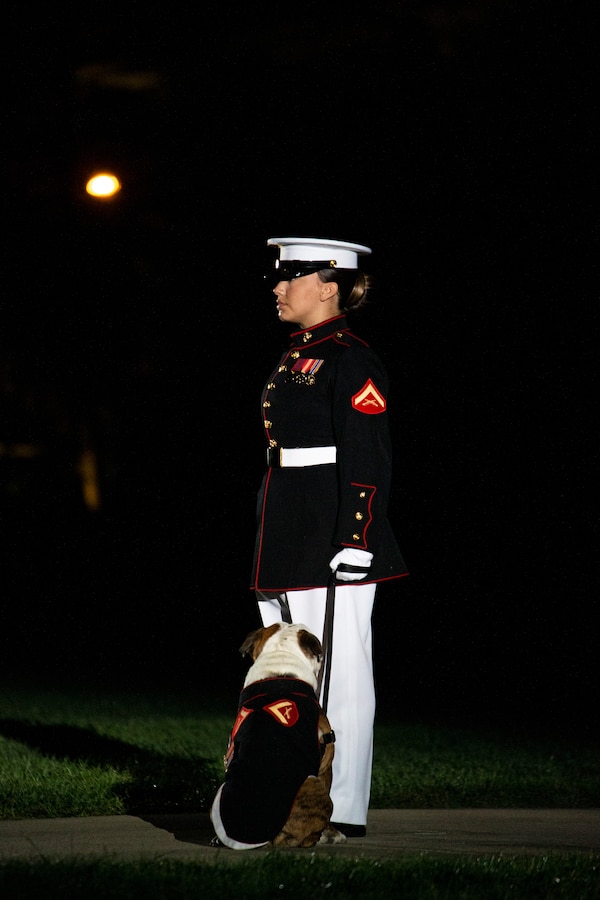 Lance Cpl. Rebekah Macias, mascot handler, Marine Barracks Washington, stands on Center Walk with the official Marine Corps mascot, Lance Cpl. Chesty XV, during the Friday Evening Parade MBW, Aug. 20, 2021. The guest of honor for the evening was Mr. Robert J. Conte III, Chief of the Metropolitan Police Department, and the hosting official was Lt. Gen. David A. Ottignon, Deputy Commandant for Manpower and Reserve. (U.S. Marine Corps photo by Lance Cpl. Allen T. Sanders)