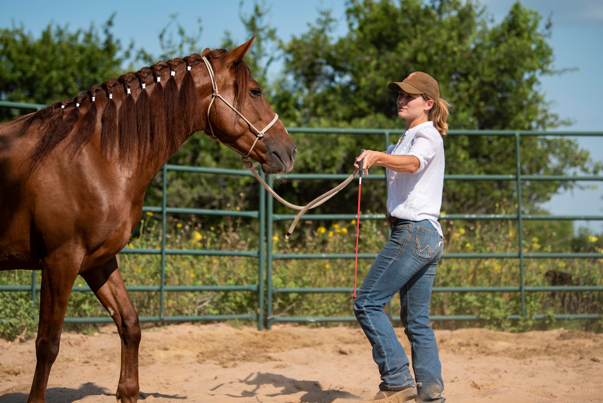 Staff Sgt. Melissa Sekerak, 7th Munitions Squadron stockpile management supervisor, leads her horse, Malibu, around a training ring in Hawley, Texas, July 20, 2021.