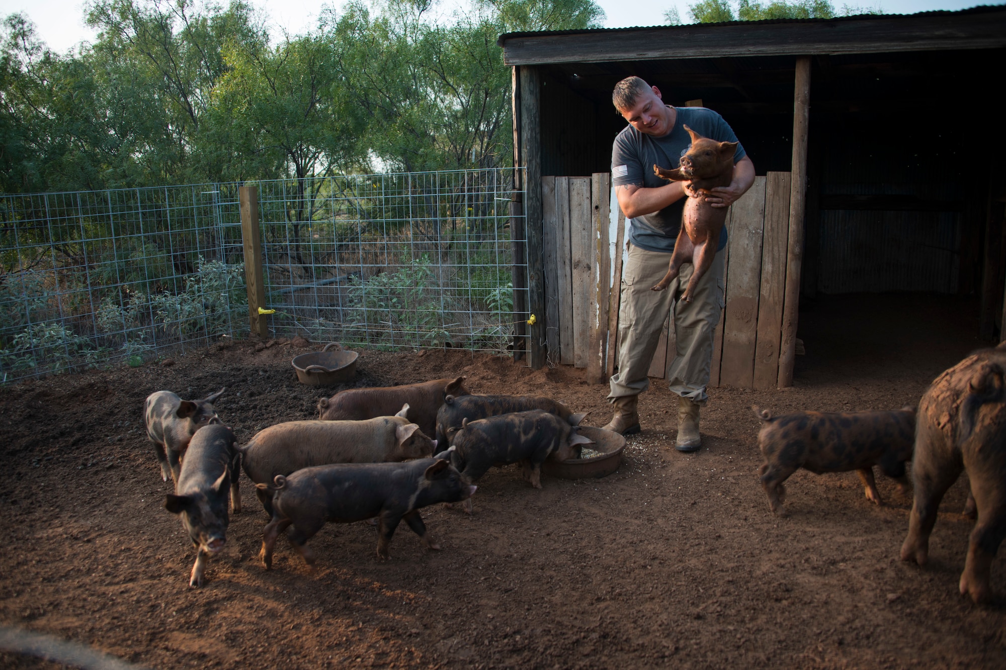 U.S. Air Force Master Sgt. Thomas Kessler, 97th Logistics Readiness Squadron Vehicle Management Flight superintendent, holds a piglet on 1AB Ranch in Altus, Oklahoma, Aug. 5, 2021. The mother, Sooie, gave birth to 10 piglets in May of 2021. (U.S. Air Force photo by Senior Airman Amanda Lovelace)