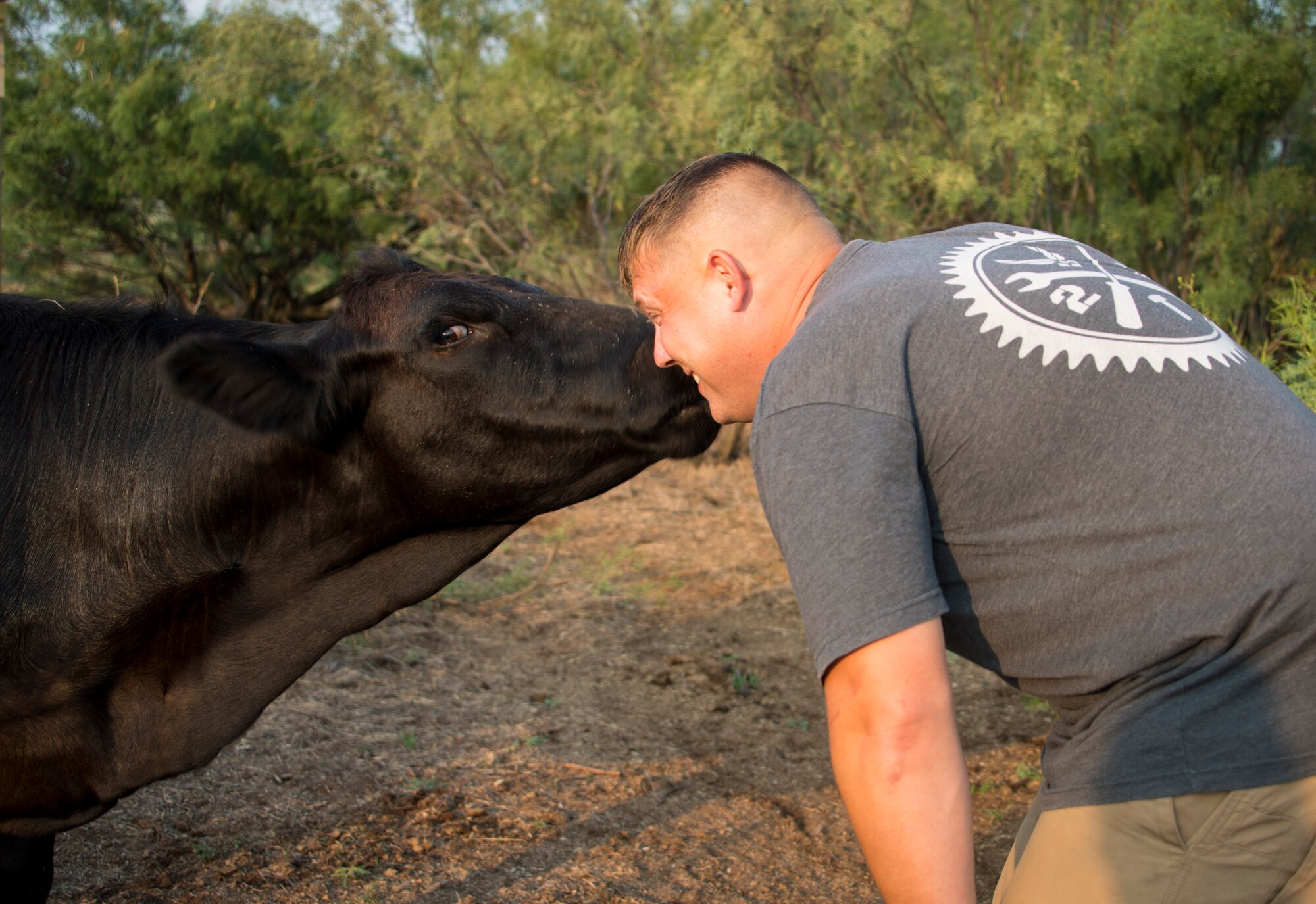 Milka the cow gives U.S. Air Force Master Sgt. Thomas Kessler, 97th Logistics Readiness Squadron Vehicle Management Flight superintendent, a kiss on 1AB Ranch in Altus, Oklahoma, Aug. 5, 2021. Kessler was born in Alzey, Germany and joined the military in July of 2000. (U.S. Air Force photo by Senior Airman Amanda Lovelace)
