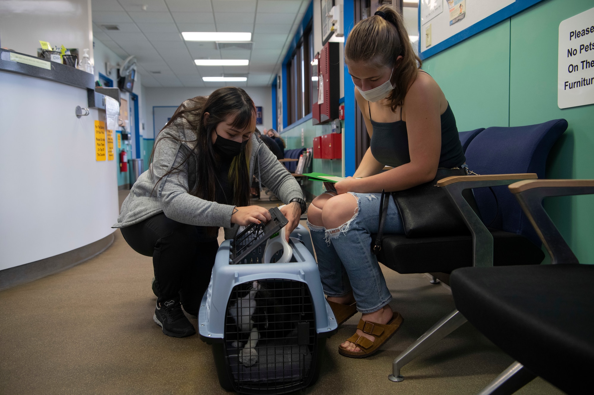 Karina Galang, left, Public Health Activity Japan, Okinawa Branch, animal health assistant, shows Katie Lambie, dependent, her cats are now equipped with microchips on Kadena Air Base, Japan, Aug. 25, 2021. The Okinawa Veterinary Activity is the primary source for any information regarding pet PCS and travel, vaccination and health of animals. (U.S. Air Force photo by Staff Sgt. Rhett Isbell)