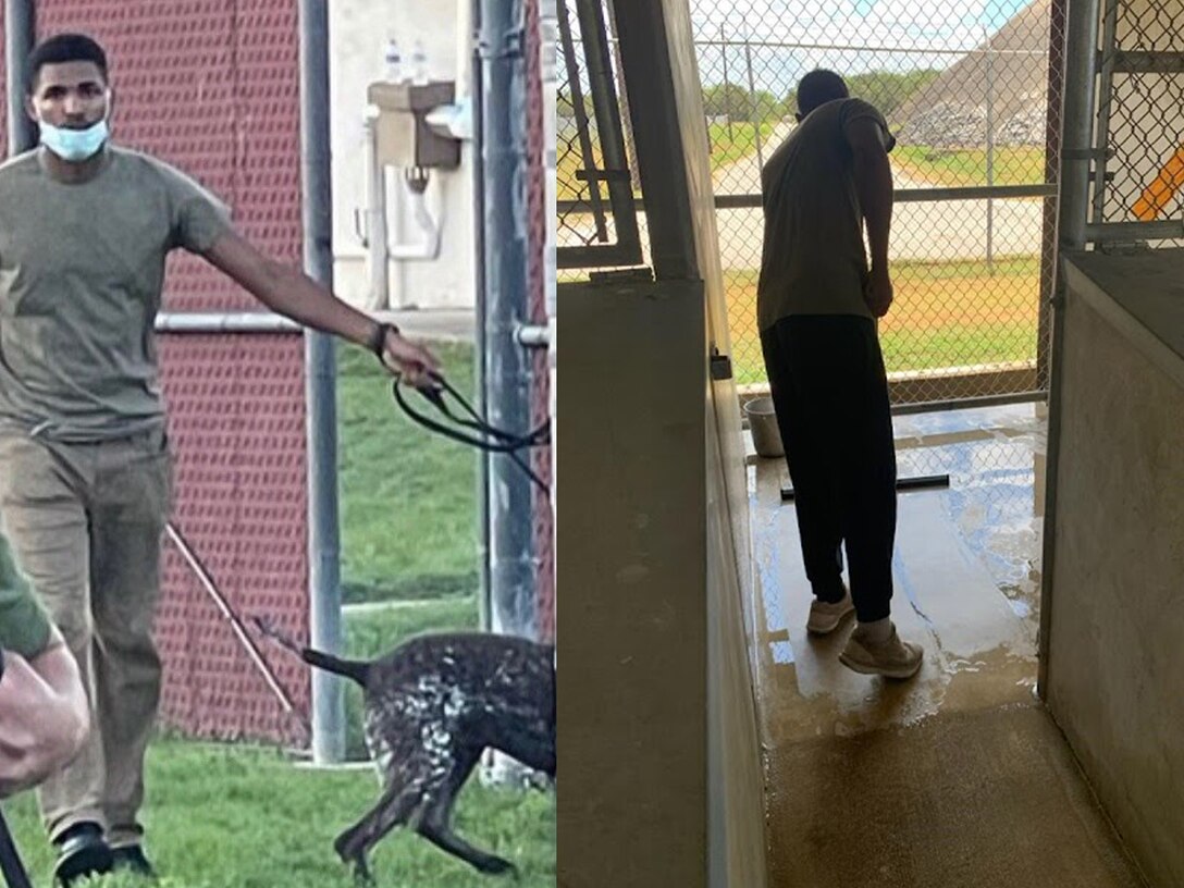 A man walks a dog. Right: A man mops a kennel floor.