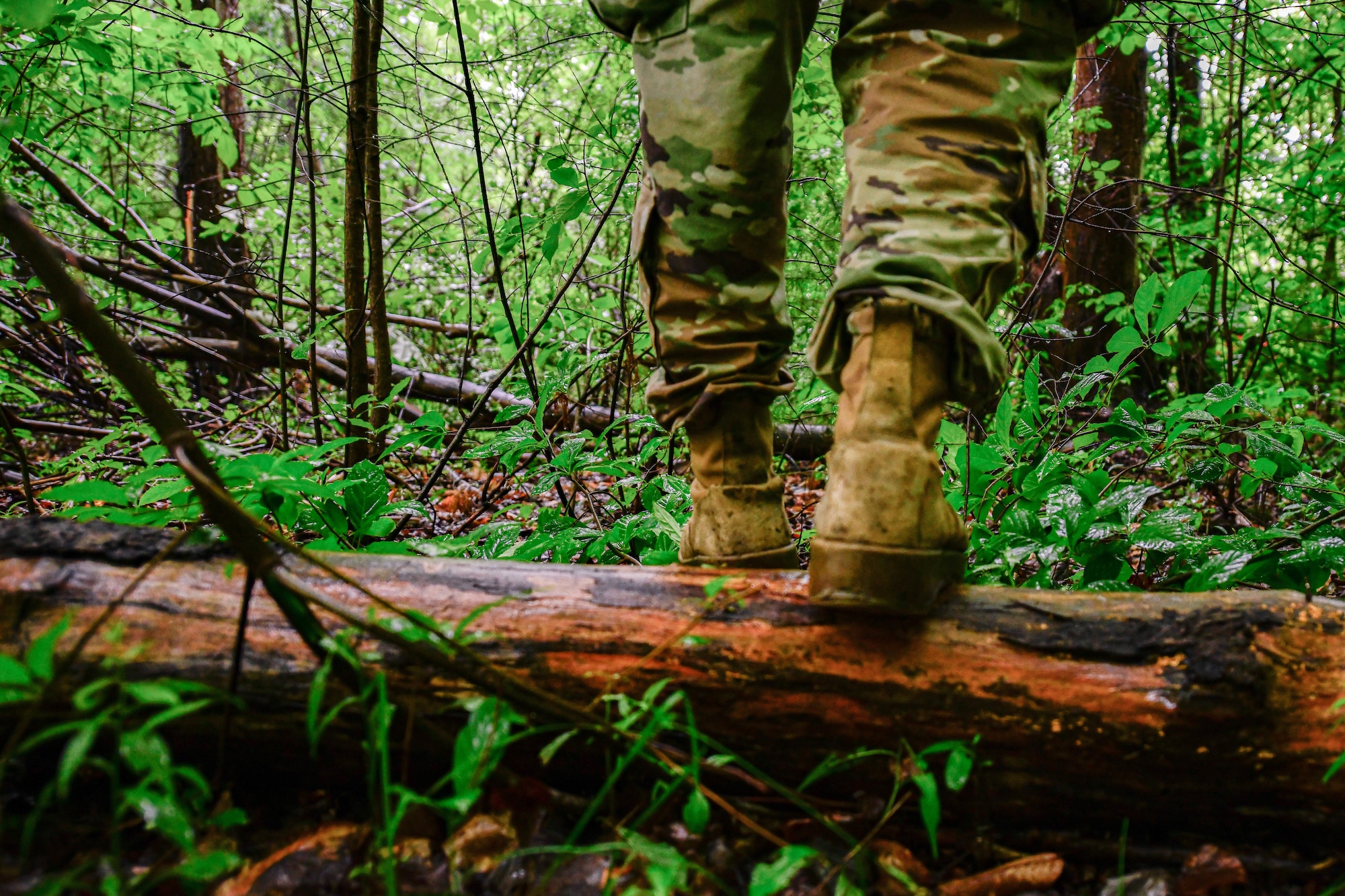 A Reserve Citizen Airman hikes through underbrush at Youngstown Air Reserve Station, July 11, 2021.