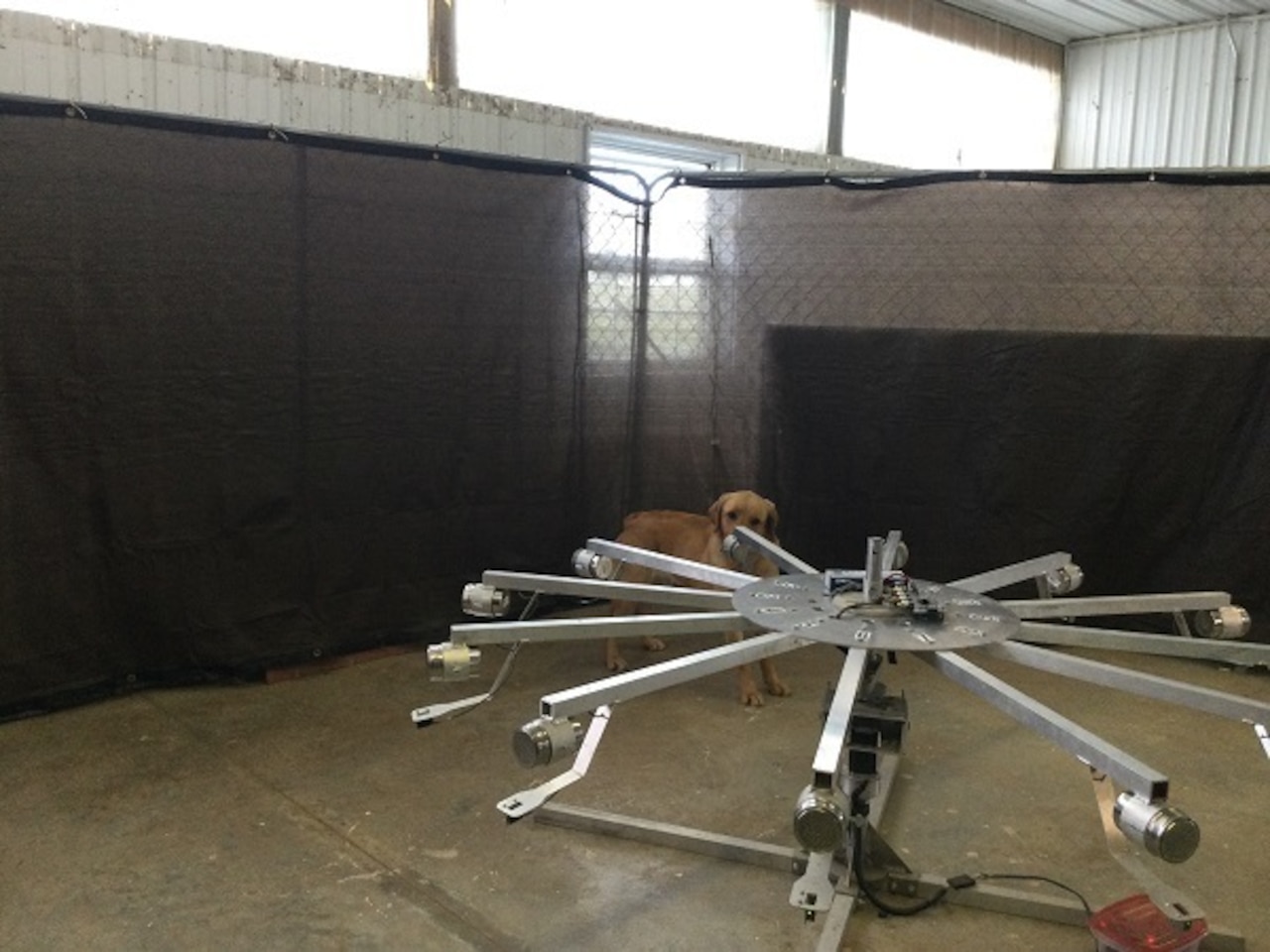 Containers hang from the spokes attached to a large wheel; a dog sniffs at one of the containers.