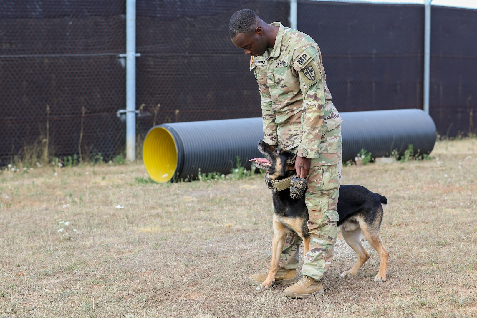 If you visit Camp Bondsteel in Kosovo, you may be met at the front gate by Figo and his handler Cpl. Charles West, with the 131st Military Police Detachment. Figo is a Malinois X, a mix of the Belgian Malinois and the German Shepard dog. The combination results in an intelligent, good-natured, level-headed energetic protector of their beloved human. (Photo by U.S. Army Sgt. Gloria Kamencik, KFOR29)