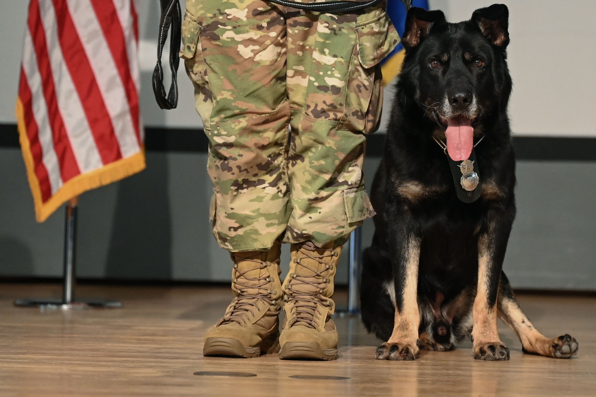 Military Working Dog Baxi poses during a retirement ceremony at Kirtland Air Force Base.