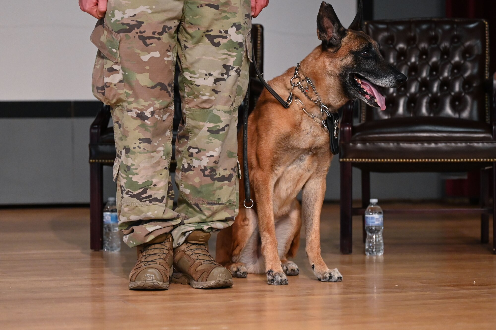 U.S. Air Force Military Working Dog Ggarbo sits beside his handler during a retirement ceremony at Kirtland Air Force Base, N.M., Aug. 27, 2021.