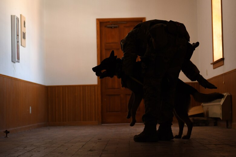 Staff Sgt. Trenton Clark, military working dog handler assigned to the 90th Security Forces Squadron, conducts certification with his MWD at F.E. Warren Air Force Base, Wyoming, Aug. 25, 2021. Certification is where a commander observes the handler and MWD identifying explosives through a simulated environment in order to certify that the team is capable of performing duties. The process is designed for the commander to instill trust in the MWD team. (U.S. Air Force photo by Airman 1st Class Charles Munoz)