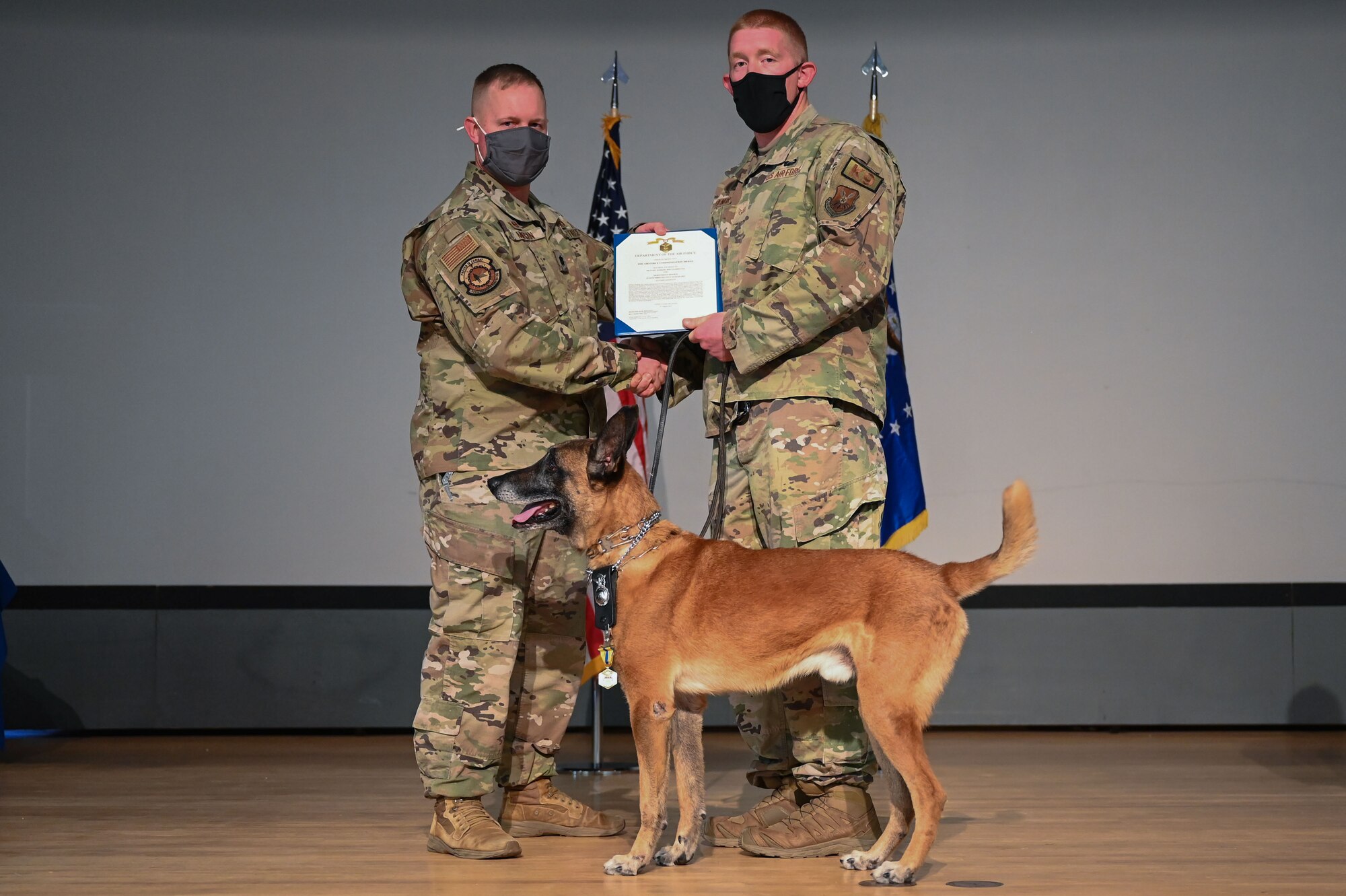 MWD Ggarbo receives a commendation during a retirement ceremony at Kirtland Air Force Base.