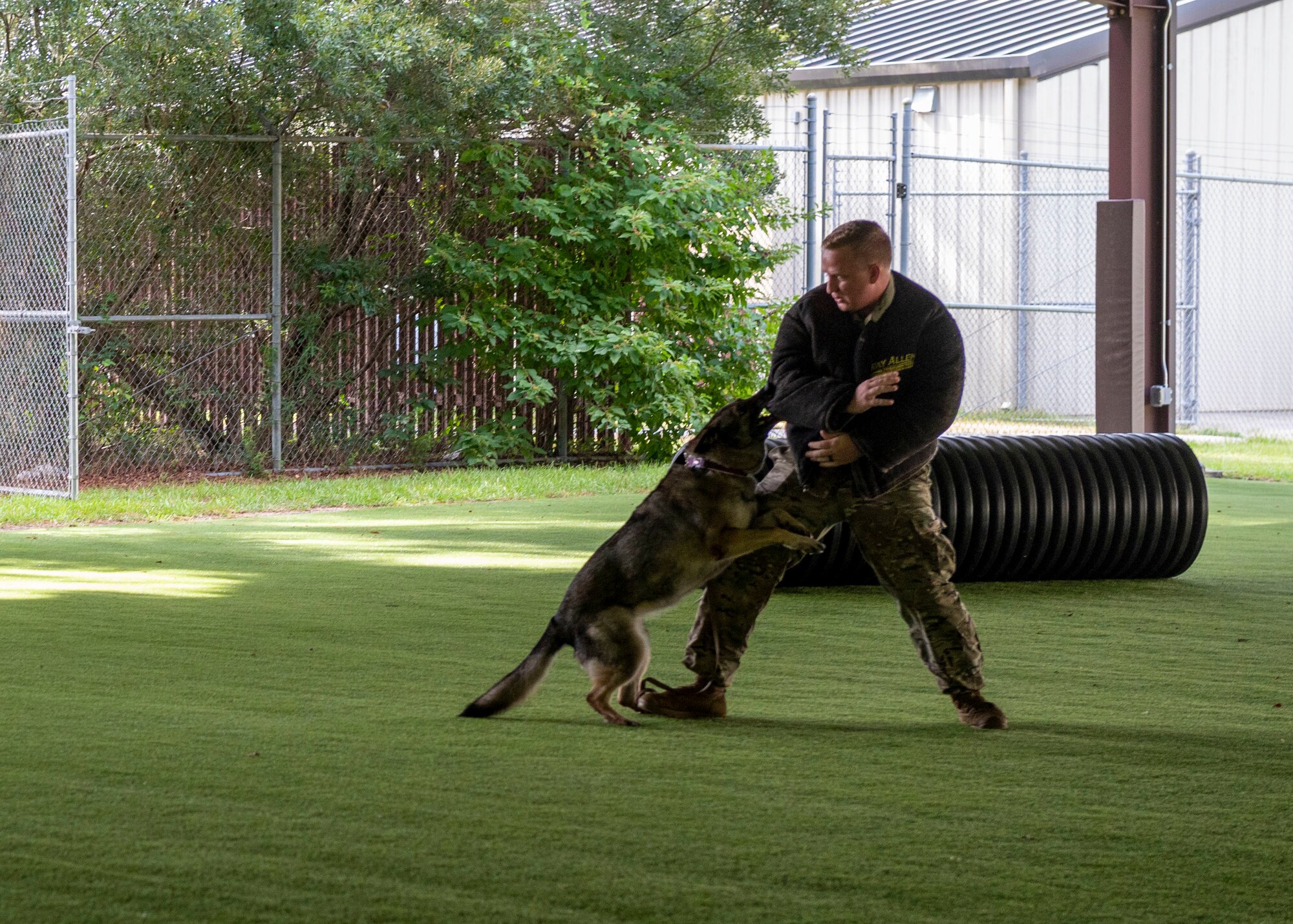 Military working dog Gina, performs her last bite on Staff Sgt. Steven Matias, 4th Security Forces Squadron MWD handler, during Gina’s retirement ceremony at Seymour Johnson Air Force Base, North Carolina, Aug. 26, 2021.