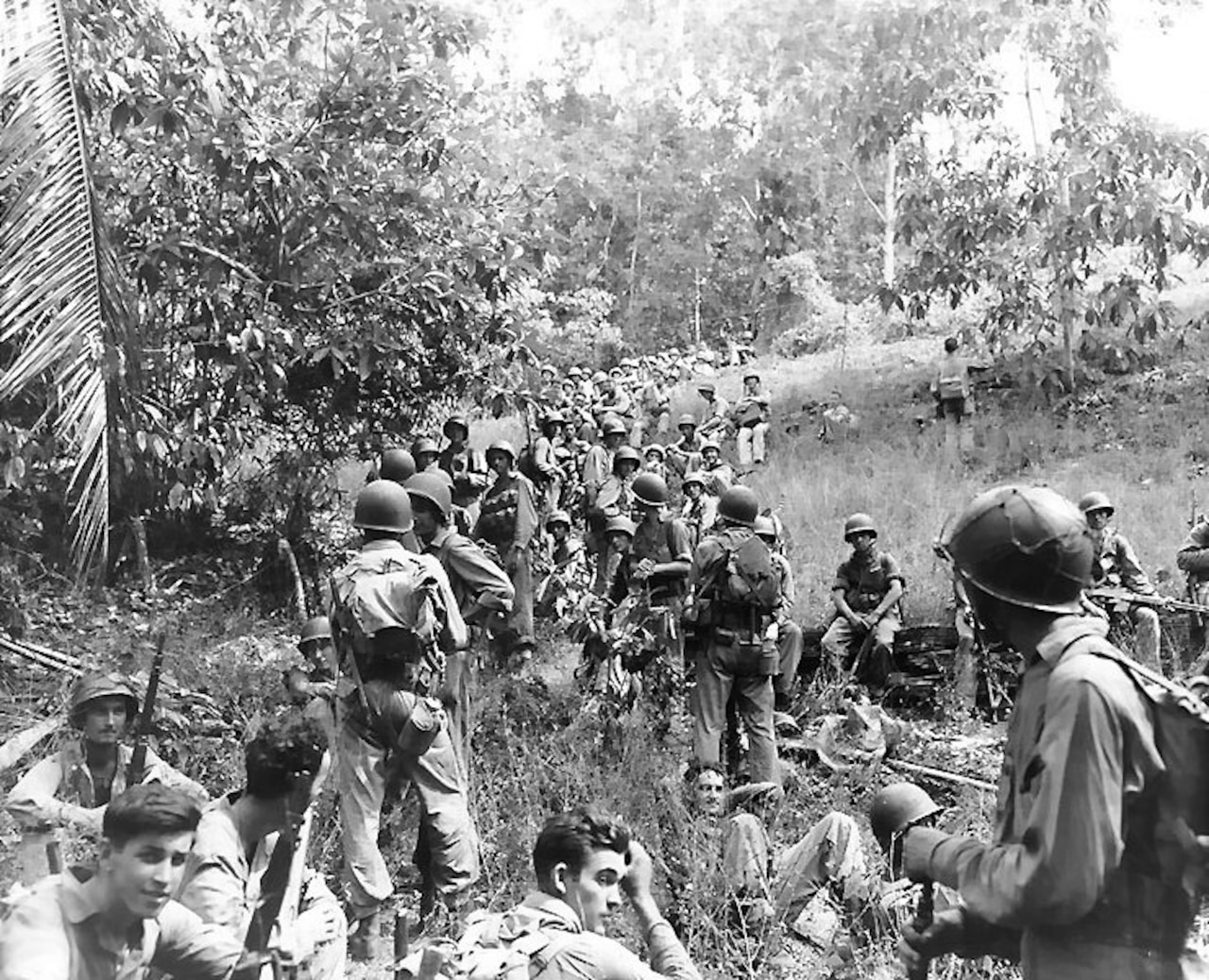 Marines rest in a jungle area.