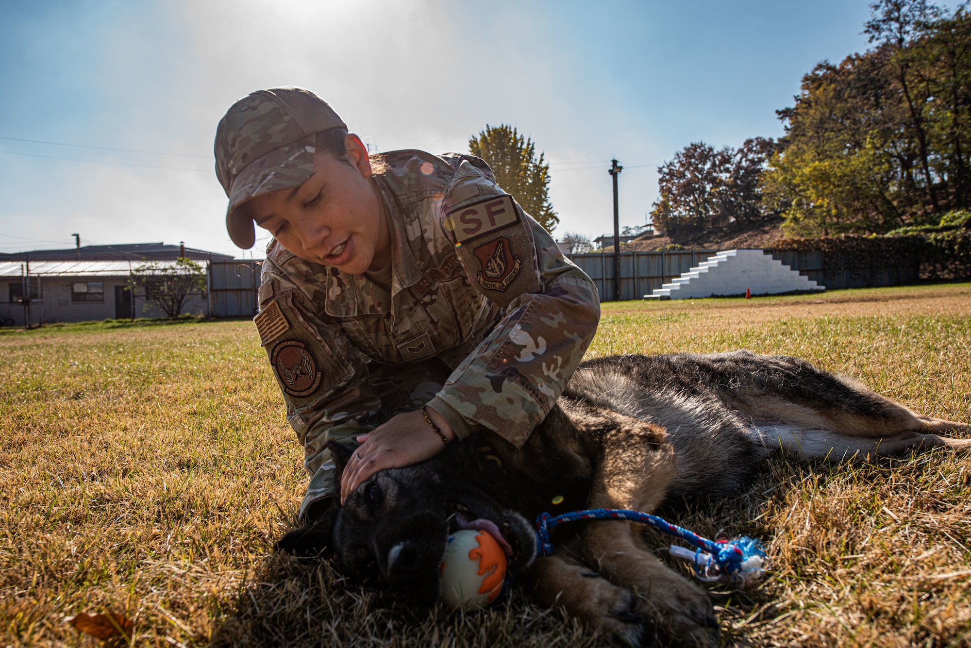 Senior Airman Jenna Canada, 51st Security Forces Squadron military working dog handler, embraces Akim, her MWD, at Osan Air Base, Republic of Korea, Nov. 17, 2021.