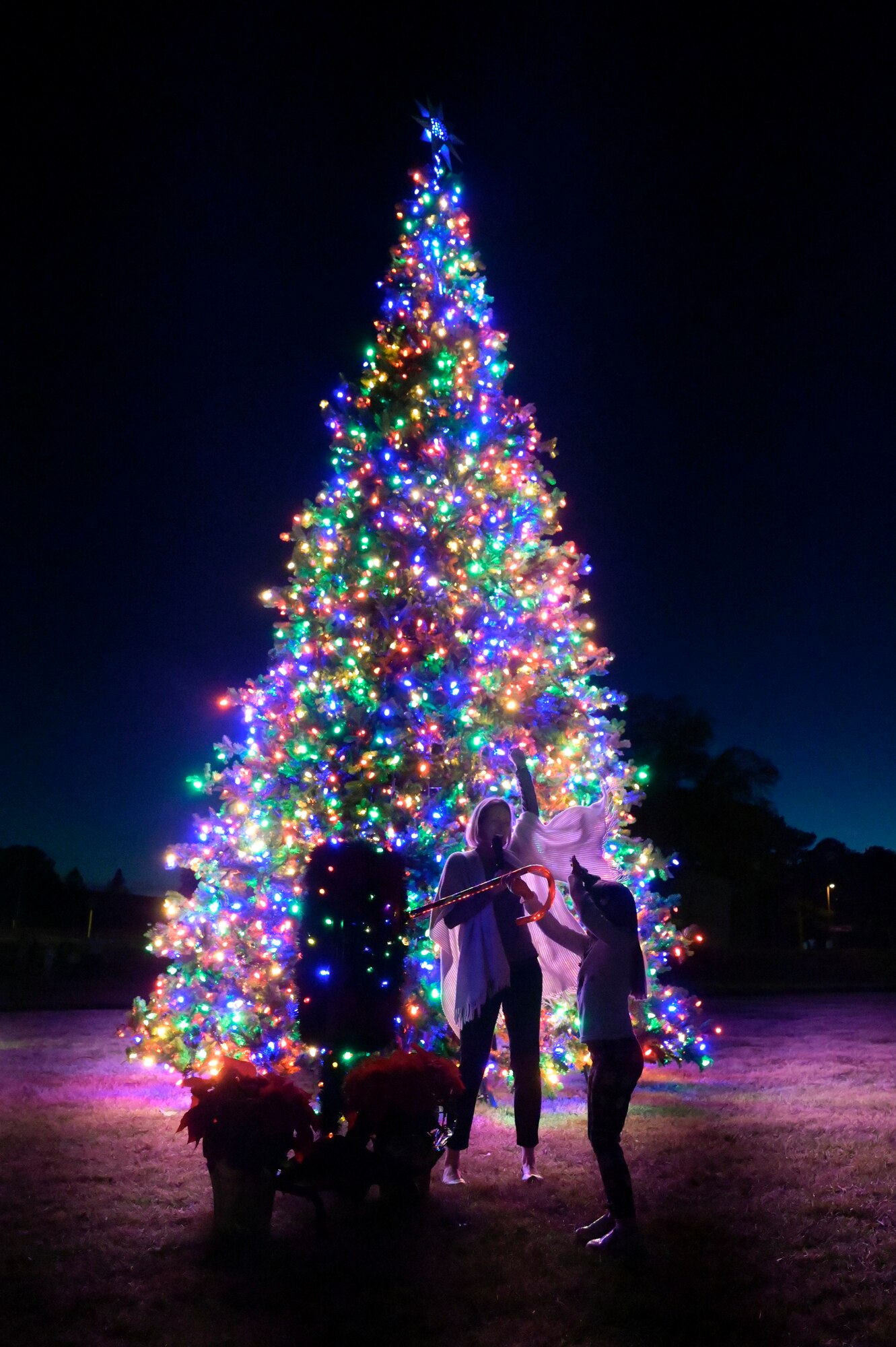 Two people activate the lights on the holiday tree