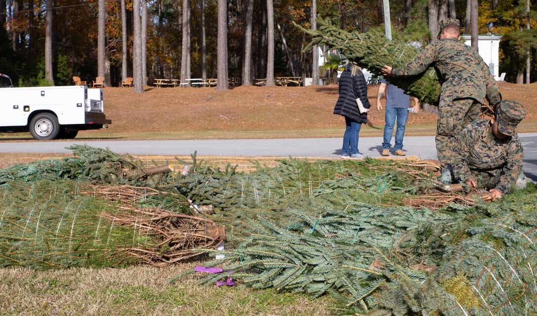 U.S. Marines and volunteers gathered together to help hand out 350 real Christmas trees as part of an annual event hosted by Marine Corps Community Services to help spread the holiday joy while giving back to the military community.