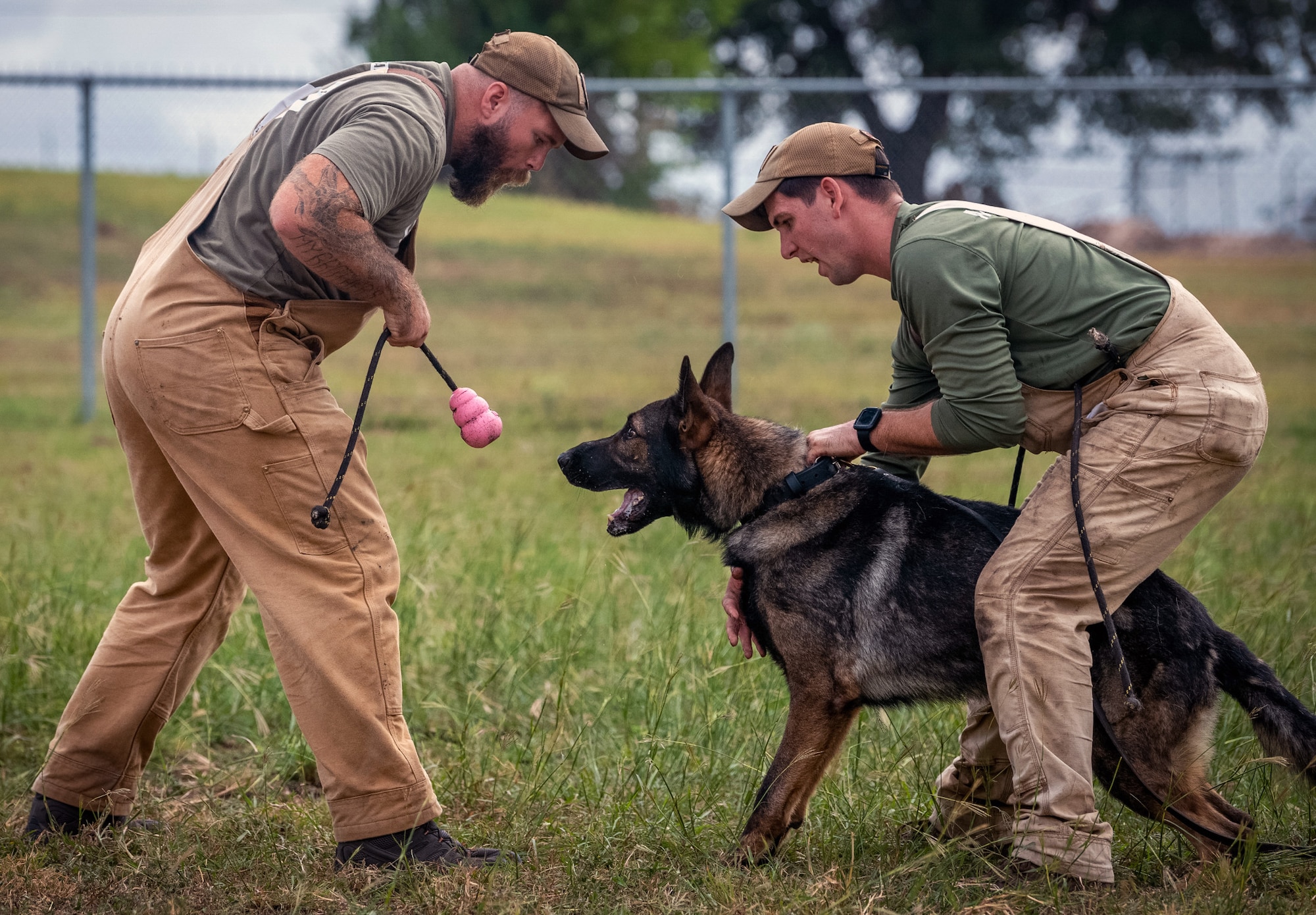 Getting back to good: resiliency, grappling and dogs