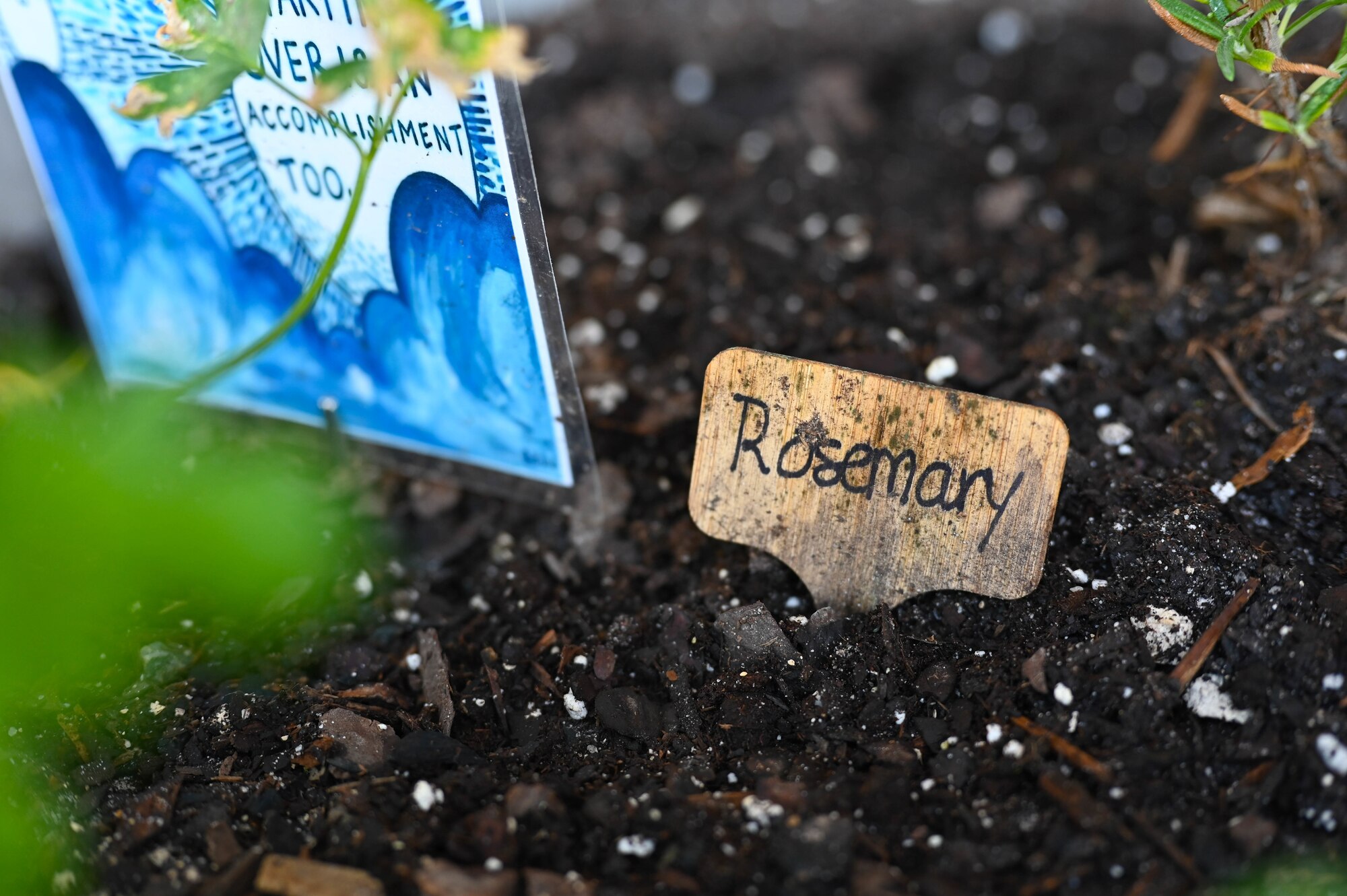 A sign is displayed in a garden