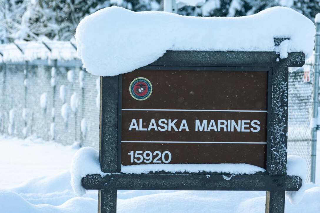 The Marines of Delta Company, 4th Law Enforcement Battalion, were tasked with collecting and distributing toys across Alaska as part of the Toys for Tots Program. Toys for Tots collects unwrapped toys and distributes them to kids less fortunate during the holiday season.