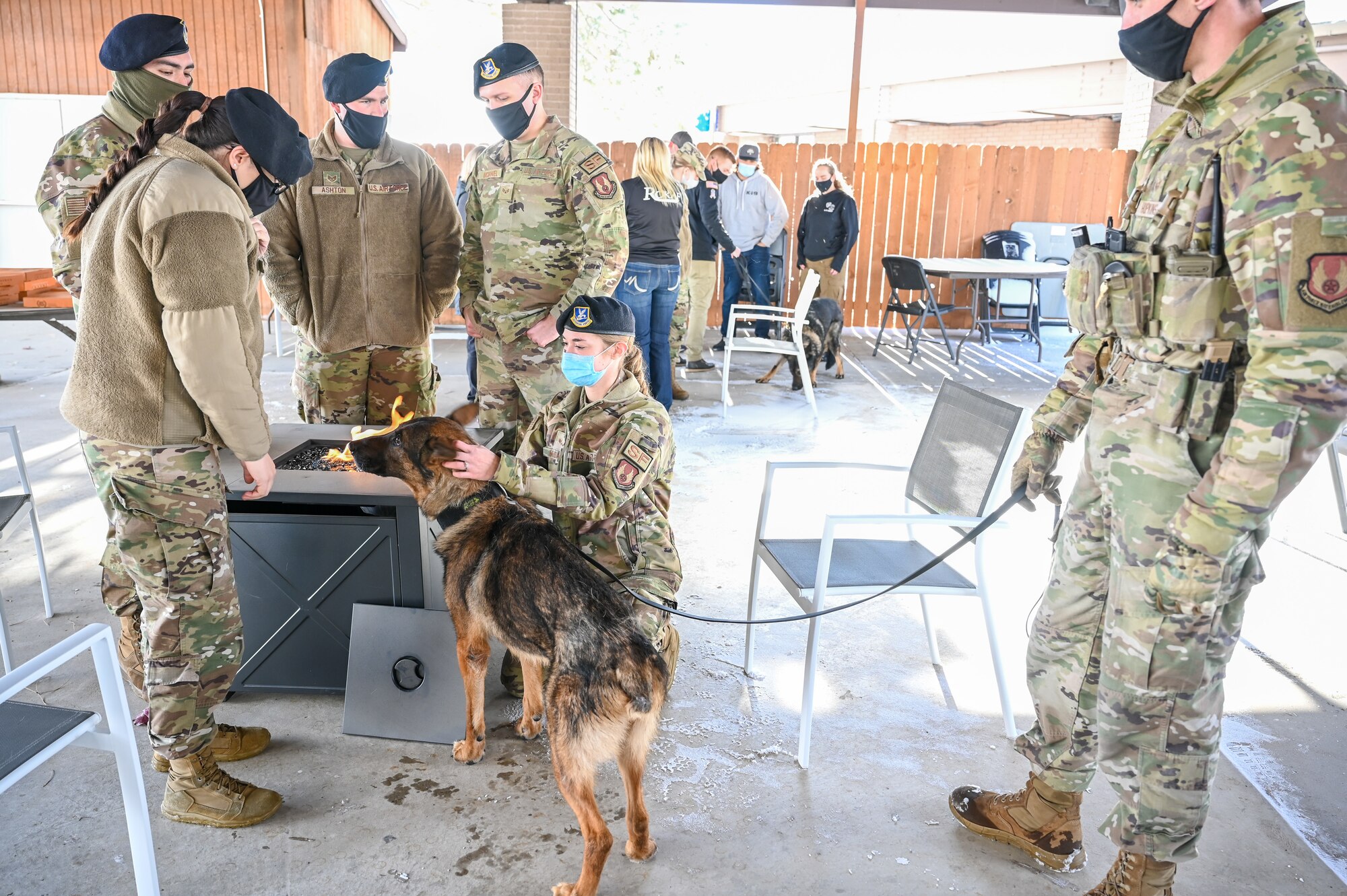 Members from 75th Security Forces Squadron pet military working dog Bastas during his retirement celebration Dec. 10, 2021, at Hill Air Force Base, Utah. MWD Bastas retired honorably after serving six years with the 75th SFS at Hill. (U.S. Air Force photo by Cynthia Griggs)