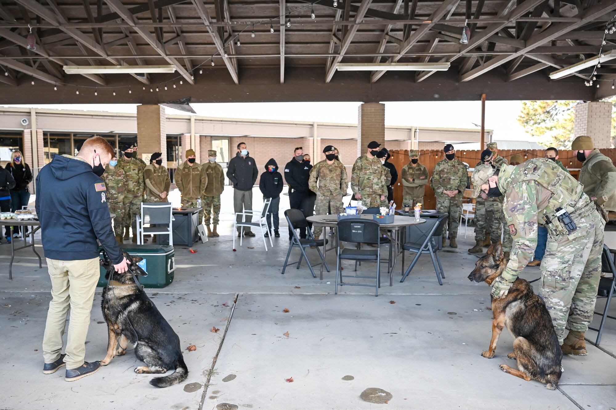 Military working dog Jimo (left) with former handler Staff Sgt. Patrick Cushing, 75th Security Forces Squadron, and MWD Bastas with former handler Staff Sgt. Tyler Hopkins, 75th SFS, are recognized during their retirement celebration Dec. 10, 2021, at Hill Air Force Base, Utah. MWDs Jimo and Bastas retired honorably after serving six years each with the 75th SFS at Hill. (U.S. Air Force photo by Cynthia Griggs)