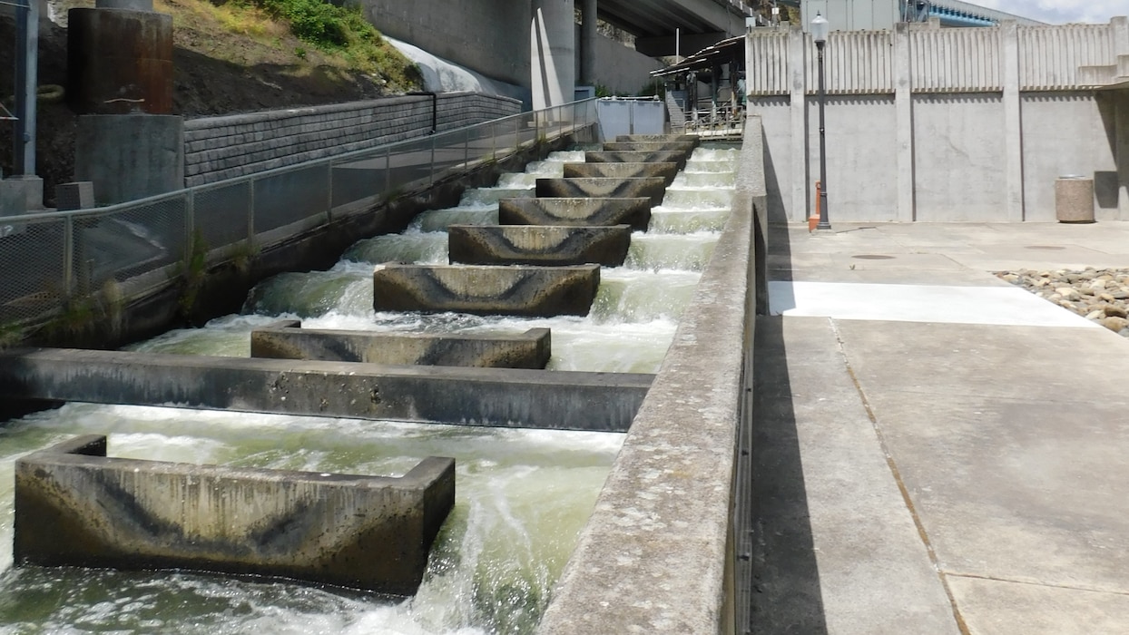 Fish Ladder and Juvenile Flume