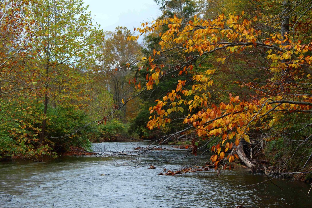The West Branch Lackawaxen River forms the headwaters and main channel of the Prompton Lake reservoir. Lackawaxen is a Lenape word meaning “swift  waters”. The Lenape people are the original inhabitants of Delaware, New Jersey, Eastern Pennsylvania, and Southern New York.