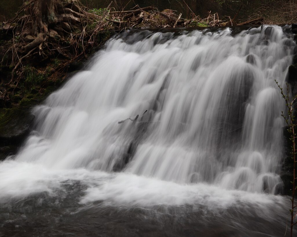 Waterfalls occur where water flows over a vertical drop or a series of steep drops along the course of a stream or river. This feature can be found while hiking the Saw Mill Trail, one of the 15 miles of trails developed by PA DCNR’s Beltzville State Park.