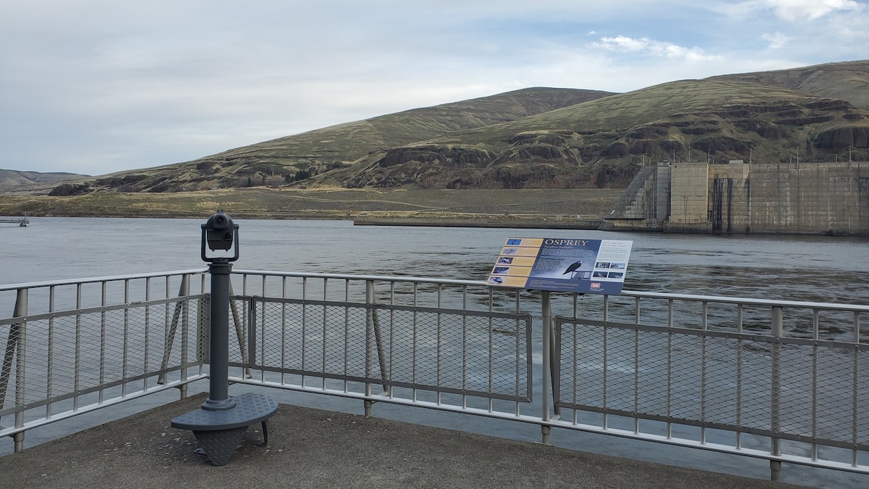 Esplanade Viewing Platform