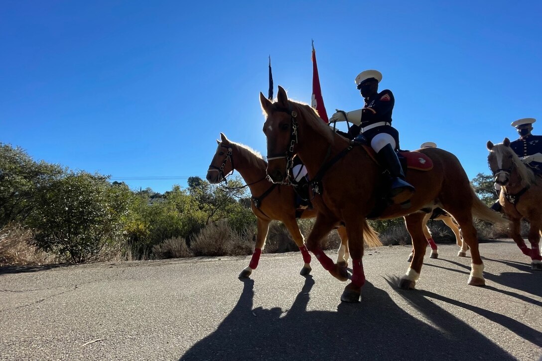 Marines ride horses on a paved road.